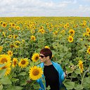 ���� �����, �����������, 53 ���� - ��������� 5 �������� 2014 � ������ ���� ����������