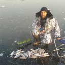 ���� �������, ������, 52 ���� - ��������� 29 ������ 2014 � ������ ���� ����������