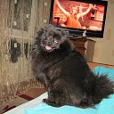 ���� ���������, �����, 53 ���� - ��������� 7 �������� 2014 � ������ ���� ����������