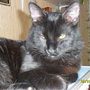 ���� �����, �����-��������� - ��������� 29 ������� 2014 � ������ ���� ��������������!!�