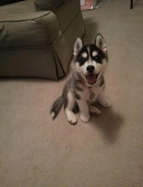   :3