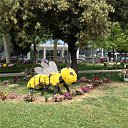 ���� ������, ������, 45 ��� - ��������� 27 �������� 2014 � ������ ���� ����������