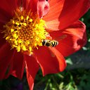 ���� ����, ������, 25 ��� - ��������� 30 �������� 2014 � ������ ������ ��������