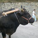 ���� ������, ������, 45 ��� - ��������� 27 �������� 2014 � ������ ���� ����������