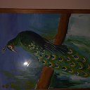 ���� �����, ��������, 47 ��� - ��������� 12 ������ 2014 � ������ ���� ����������