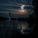  , , 75  -  8  2014    .  