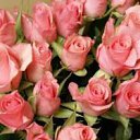 ���� ����, ������, 38 ��� - ��������� 6 ������� 2014 � ������ �Avataria�