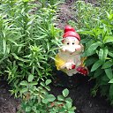 ���� �������, ������, 55 ��� - ��������� 9 ������ 2014 � ������ ���� ����������