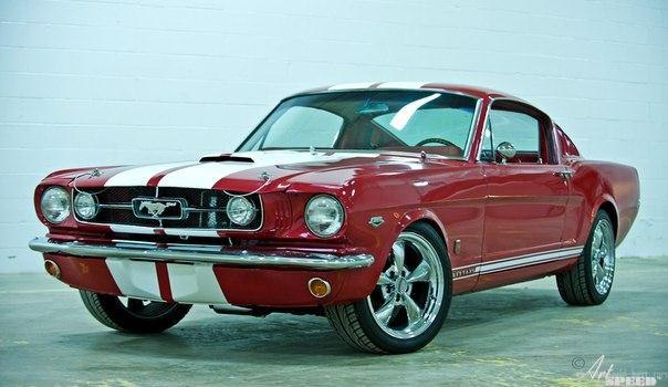 Ford Mustang Fastback, 1965. : : 289 V8. : 3- .