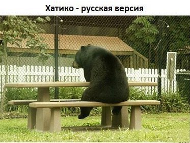    :D - 13  2014  14:05