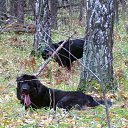 ���� Leonid, ������������, 55 ��� - ��������� 22 ������� 2014 � ������ ���� ����������