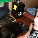 ���� �������, ���������, 44 ���� - ��������� 28 �������� 2014 � ������ ���� ����������