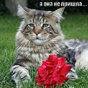 �� ������ �� ������� ����������� ��������