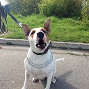 ���� ���������, �����, 58 ��� - ��������� 28 �������� 2014