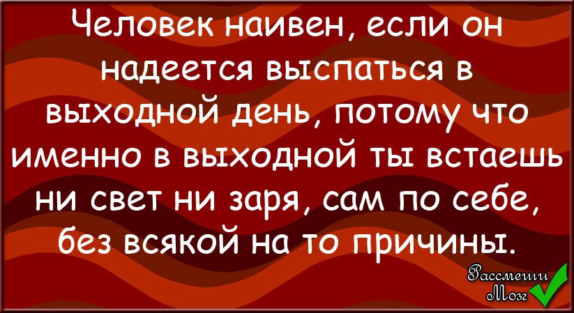 Наивность это. Наивный прикол. Наивный человек. Наивность. Цитаты про наивных людей.