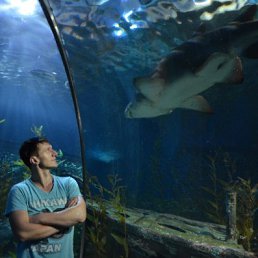 ���� Alexander, ������-��-����, 44 ���� - ��������� 18 ������ 2014