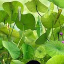 ���� ���������, ������, 38 ��� - ��������� 20 ������� 2014 � ������ ������ ��������