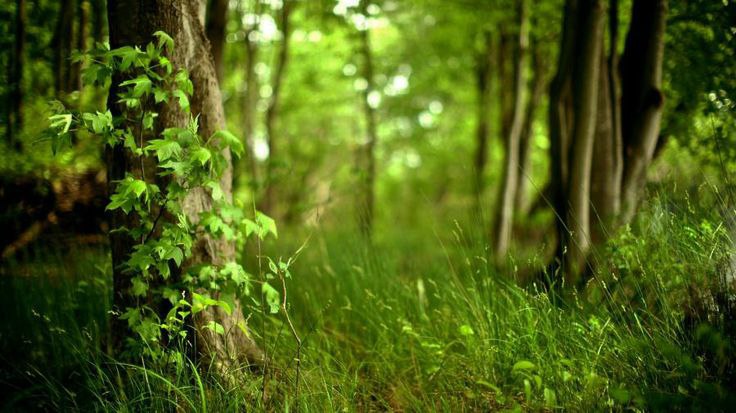   -   .   -  .  ,    -  ... - 5