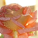 ���� Keti, �������, 54 ���� - ��������� 3 ������� 2014 � ������ ���� ������� ����!!!!�