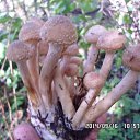 ���� ������, �������� - ��������� 17 �������� 2014 � ������ ������ � ��������!�