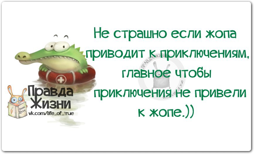 Очко жизни. Готова к приключениям. Настроение готов к приключениям. Готов к приключениям картинки. Не готов к приключениям.