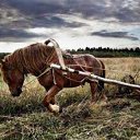 ���� ��������, ��������, 34 ���� - ��������� 30 ������� 2014 � ������ ������ ��������