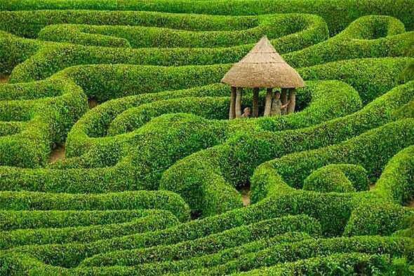   Glendurgan Garden. , 