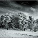 ����� ��� �)) �� ������� ��������