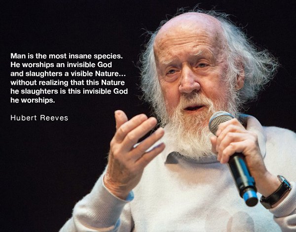 Man is the most insane species.insane [nsen] species [spiiz] . worship [wp] ...