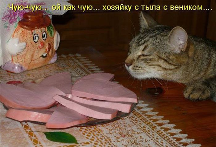 ,  !!! <a href=