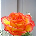 ���� Serg, ������, 66 ��� - ��������� 29 ������ 2014 � ������ ���� ����!!!�