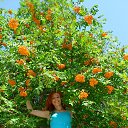 ���� ����, ���������, 43 ���� - ��������� 29 �������� 2014 � ������ ���� ����������