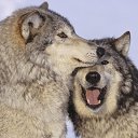 ���� ����, �����, 46 ��� - ��������� 13 ������� 2014 � ������ ������ ��������