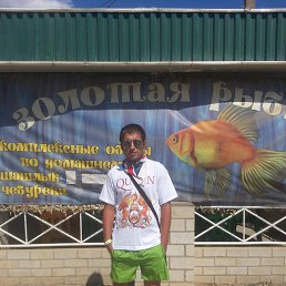 ���������, ������