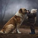  Manfred, , 62  -  3  2014