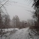 ���� Liliya, ������ - ��������� 12 ������� 2014 � ������ ���� ����������