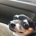  , , 60  -  24  2014    2