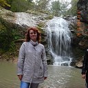 ���� ��������, ������������-�������� - ��������� 15 ������ 2014 � ������ ������ ��������