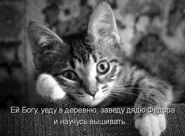 �������� - 12 ������� 2014 � 10:00