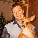 ���� ���������, �����������, 46 ��� - ��������� 10 ������ 2014 � ������ ���� ����������