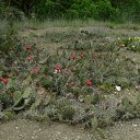 ���� ��������, ������, 52 ���� - ��������� 9 ������� 2014 � ������ ���� ����������