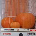 ���� �����, ������� - ��������� 2 ������� 2014 � ������ ���� ����������