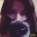���� �����������, �������, 29 ��� - ��������� 17 ������� 2014 � ������ ���� ����������