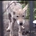 �������� ������ �� ������� ��� ������ �������...�