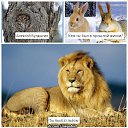 ���� �������, ���������, 55 ��� - ��������� 29 ������ 2014 � ������ ������ ��������