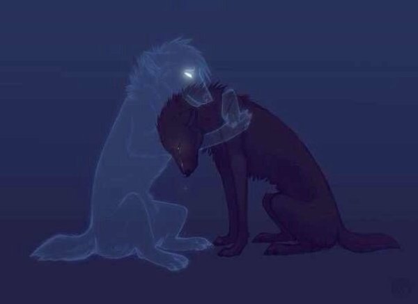 ������ ��� ���� ������ ����� � ����� ������, ���� ���� ��� ������ �� �����.