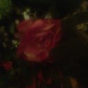 ���� Katerina, �����-���������, 28 ��� - ��������� 27 ������� 2014 � ������ ������ ��������