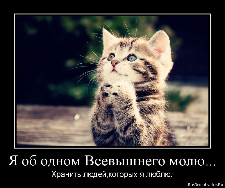 ������� ��������� - 22 ������ 2014 � 22:23