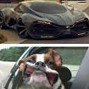 ���� ������, �����, 54 ���� - ��������� 22 ������ 2014 � ������ ���� ����������