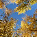 ���� �����, �������� - ��������� 15 ������� 2014 � ������ ���� ����������